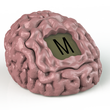 Load image into Gallery viewer, Brain Fart - Silence is Deadly